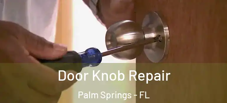  Door Knob Repair Palm Springs - FL