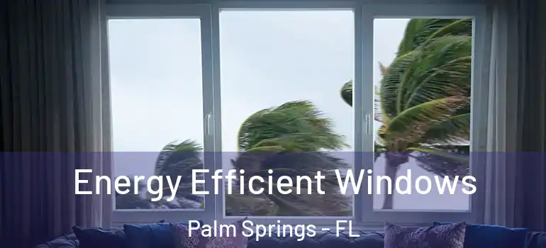  Energy Efficient Windows Palm Springs - FL