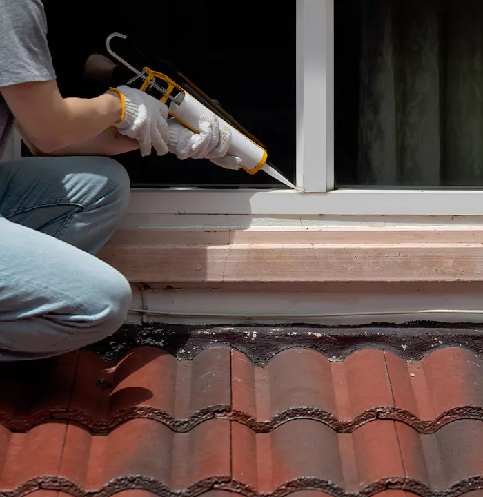Roof Window Services in Palm Springs, Florida