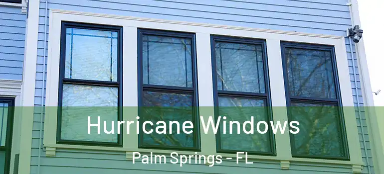  Hurricane Windows Palm Springs - FL