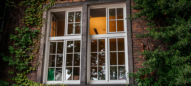 Energy Efficient Wood Windows in Palm Springs, FL