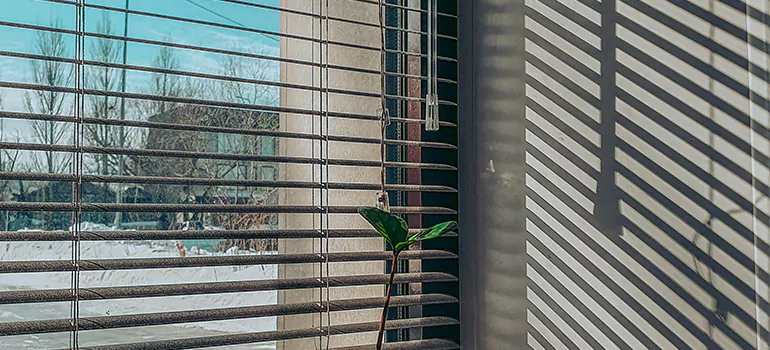 Commercial Window Blinds in Palm Springs, FL