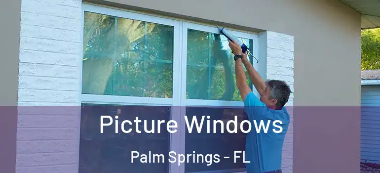  Picture Windows Palm Springs - FL
