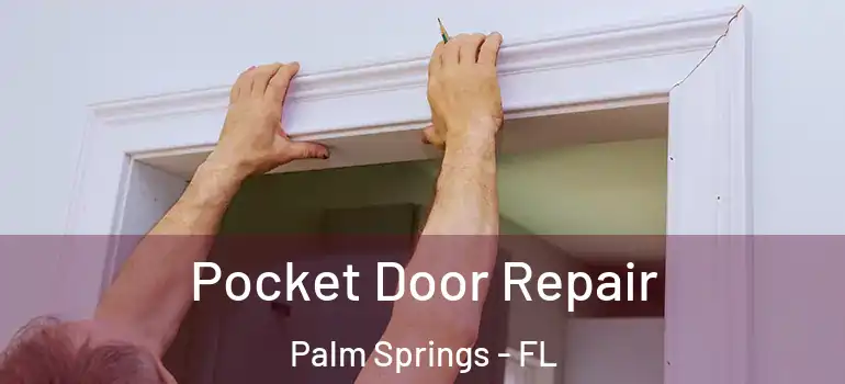  Pocket Door Repair Palm Springs - FL