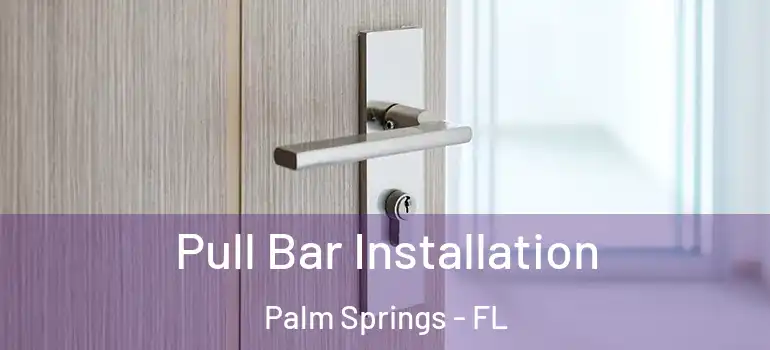  Pull Bar Installation Palm Springs - FL