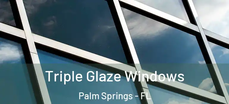  Triple Glaze Windows Palm Springs - FL