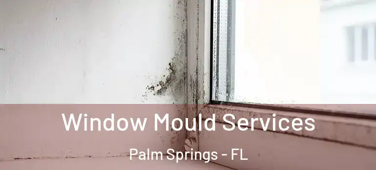  Window Mould Services Palm Springs - FL